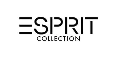 Terug kijken paspoort spoel Esprit Collection kopen? Shop online – The Stone